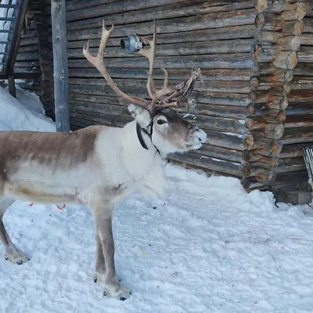 Leviloma - 21m2 A - Levistar - Levistar