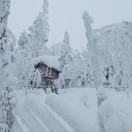Lägenhet Leviloma - 21m2 A - Levistar - Levistar *
