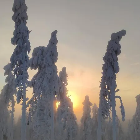 Leviloma - 21m2 A - Levistar - Levistar * Levi