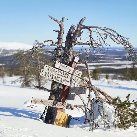 Leviloma - 21m2 A - Levistar - Levistar *