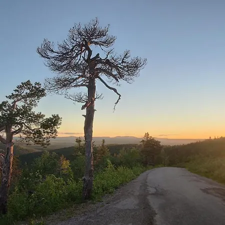 דירה Leviloma - 21m2 A - Levistar - Levistar לוי