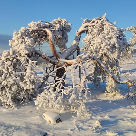 Leviloma - 21m2 A - Levistar - Levistar